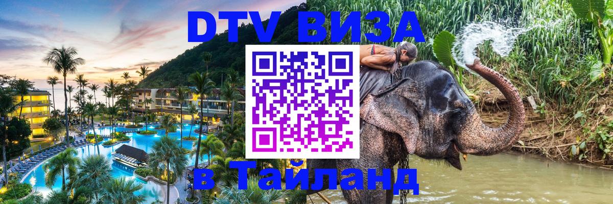 Сколько стоит DTV виза — актуальные цены, оформление даже без документов - Коломна 